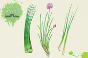 North American Herbs, a Food Illustration by Graphobia (Thumbnail 7 of 21)