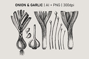 Vegetables & Herbs Vector Sketches., an Object Graphic by Yevheniia (Thumbnail 8 of 11)