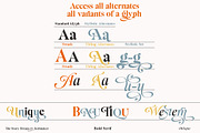The Story Dream, a Serif Font by joelmaker (Thumbnail 14 of 18)