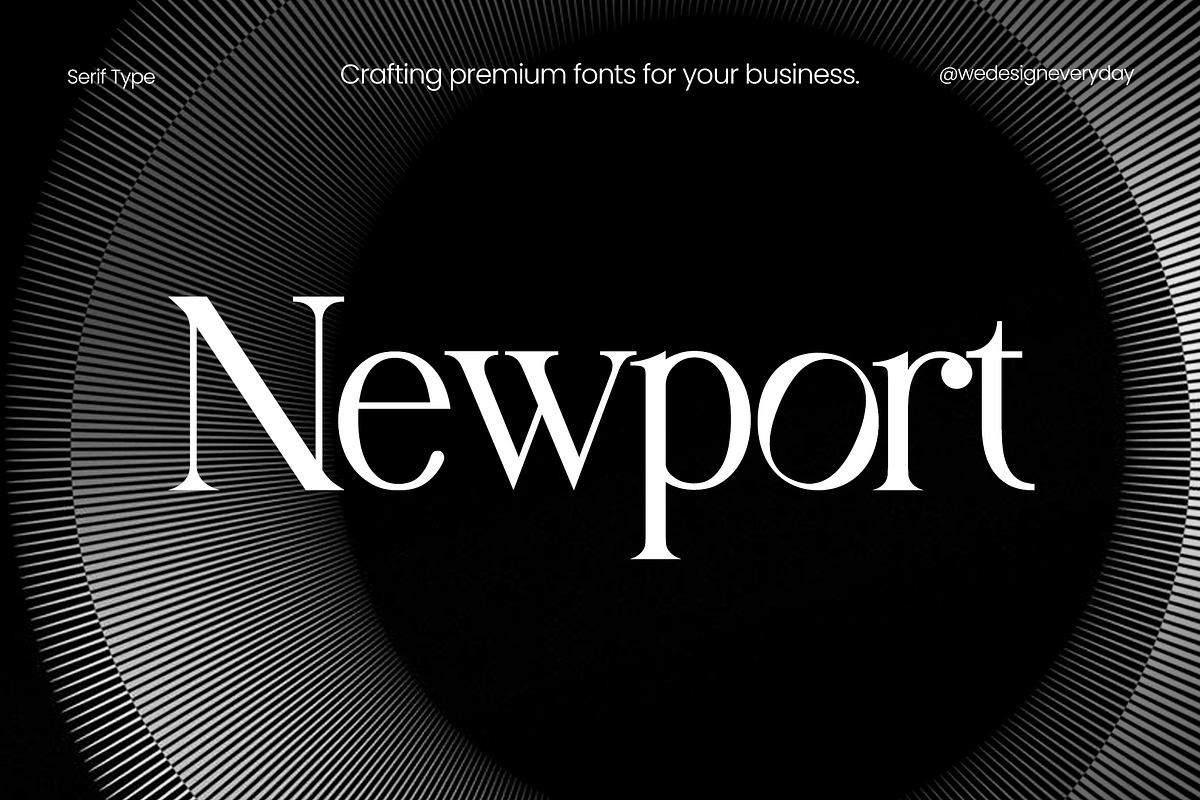 Newport Serif Font, a Serif Font by We Design Everyday