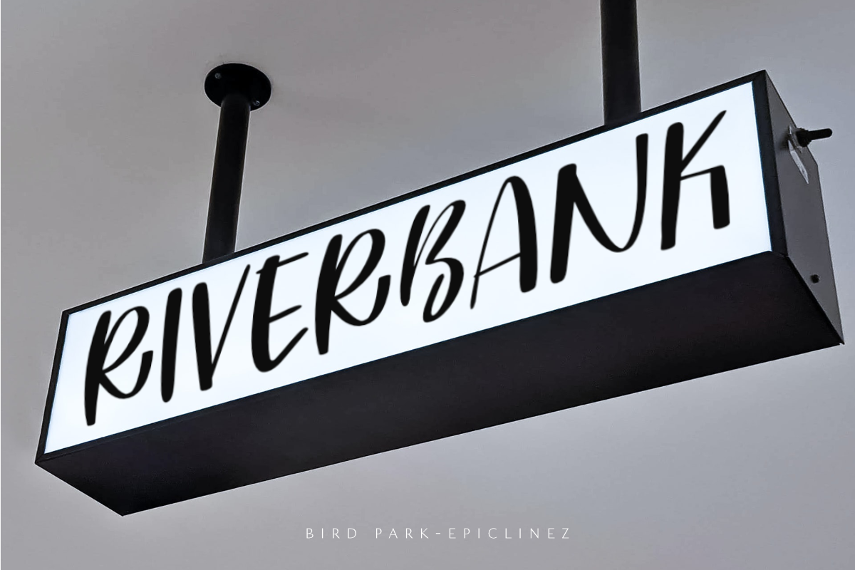 Bird Park, a Font by Epiclinez (Photo 3 of 5)
