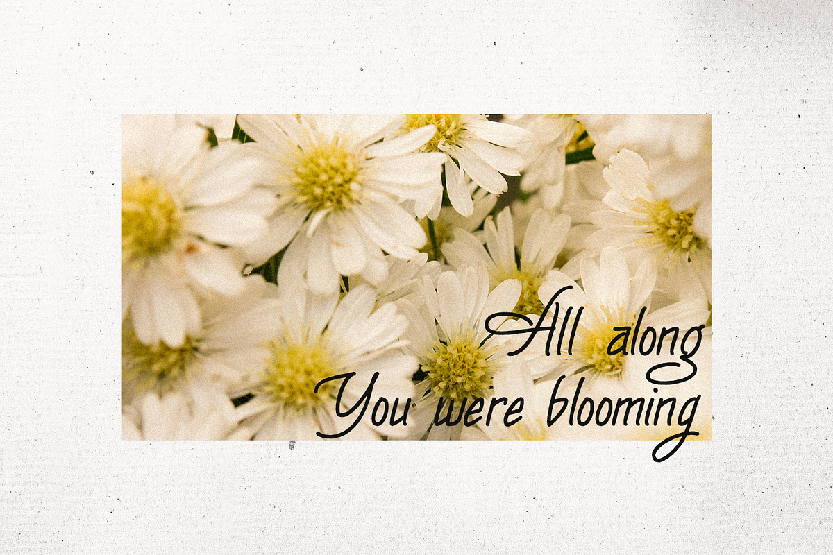 The Mossmof Monoline Script Font, a Script Font by Maulana Creative (Photo 7 of 7)