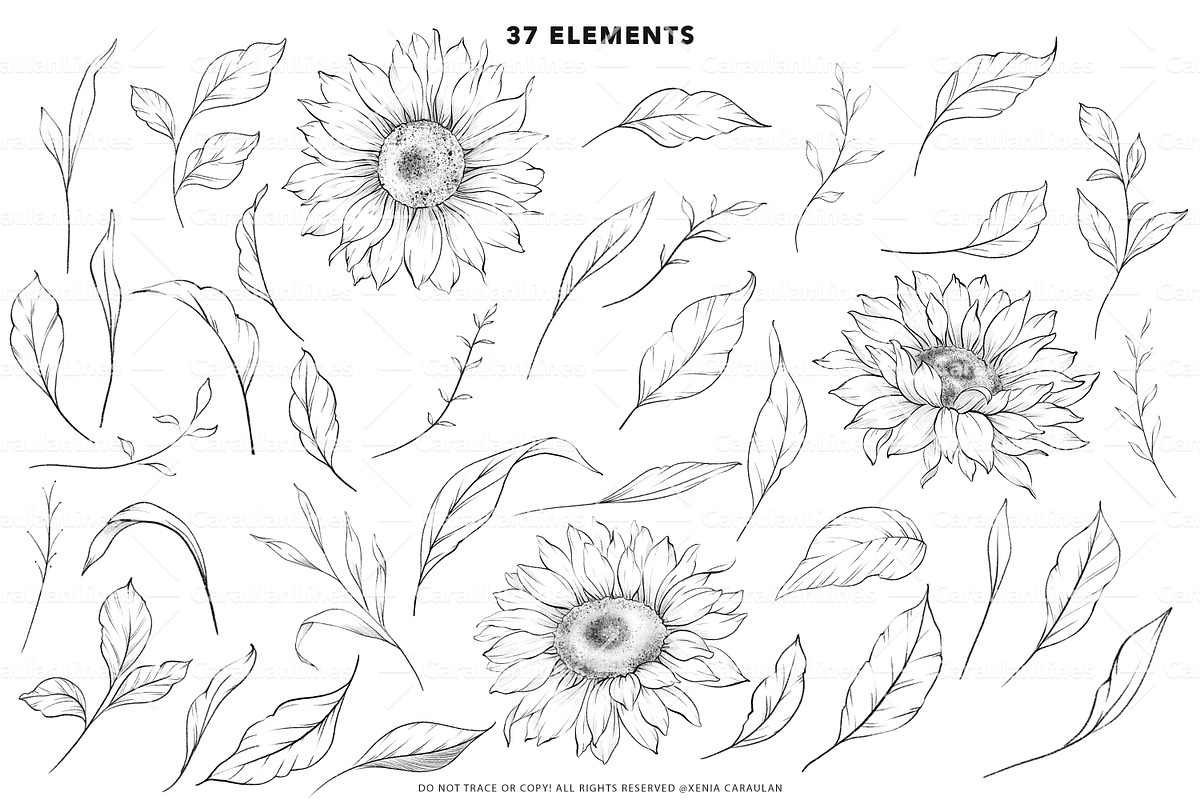 Sunflower Stamps for Procreate, a Brush Add-On by CaraulanStore (Photo 6 of 11)