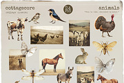 Cottagecore Collage Creator, an Object Graphic by Polli Deeva (Thumbnail 9 of 11)