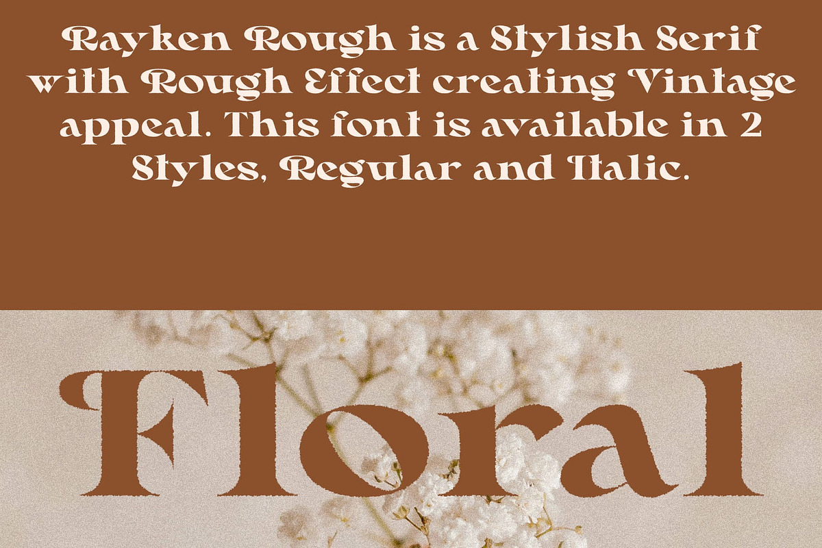 Rayken Rough, a Serif Font by Craft Supply Co. (Photo 5 of 8)