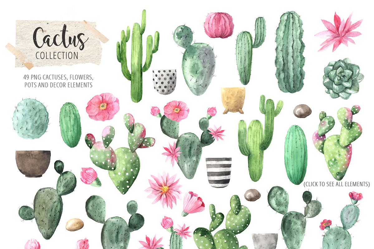 Watercolor Exotic Cactus Collection, a Texture Illustration by LarysaZabrotskaya (Photo 3 of 11)