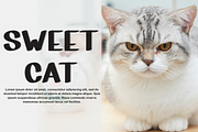 After Sunday, a Script Font by InermediaSTUDIO (Thumbnail 4 of 8)