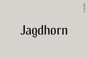 Gerda – A Calligraphic Sans Serif, a Sans Serif Font by Local Desk Designstudio (Thumbnail 15 of 19)