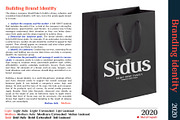 Sidus - Serif font family, a Serif Font by Artistic & Unique (Thumbnail 8 of 14)