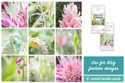 Floral Botanical Background Images, a Background Photo by kristiangallagher (Thumbnail 4 of 5)
