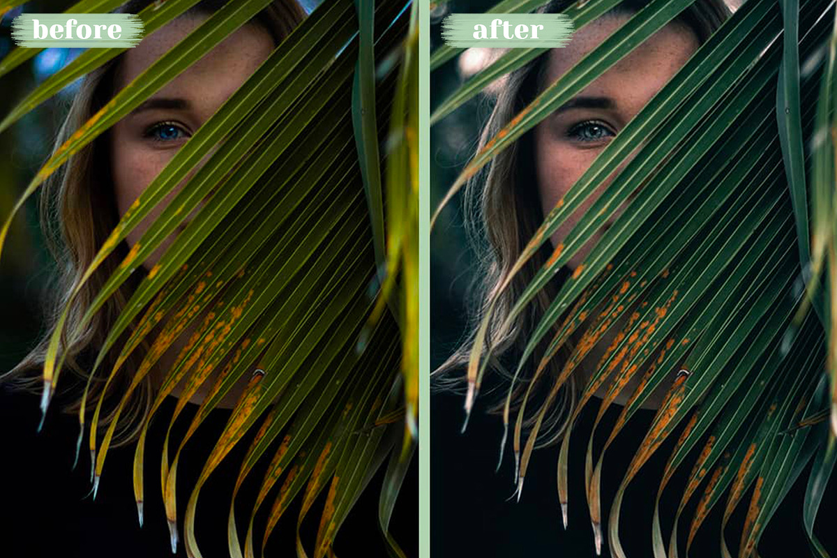 Avocado Lightroom Mobile Preset, a Preset Add-On by Wethepresets (Photo 3 of 3)