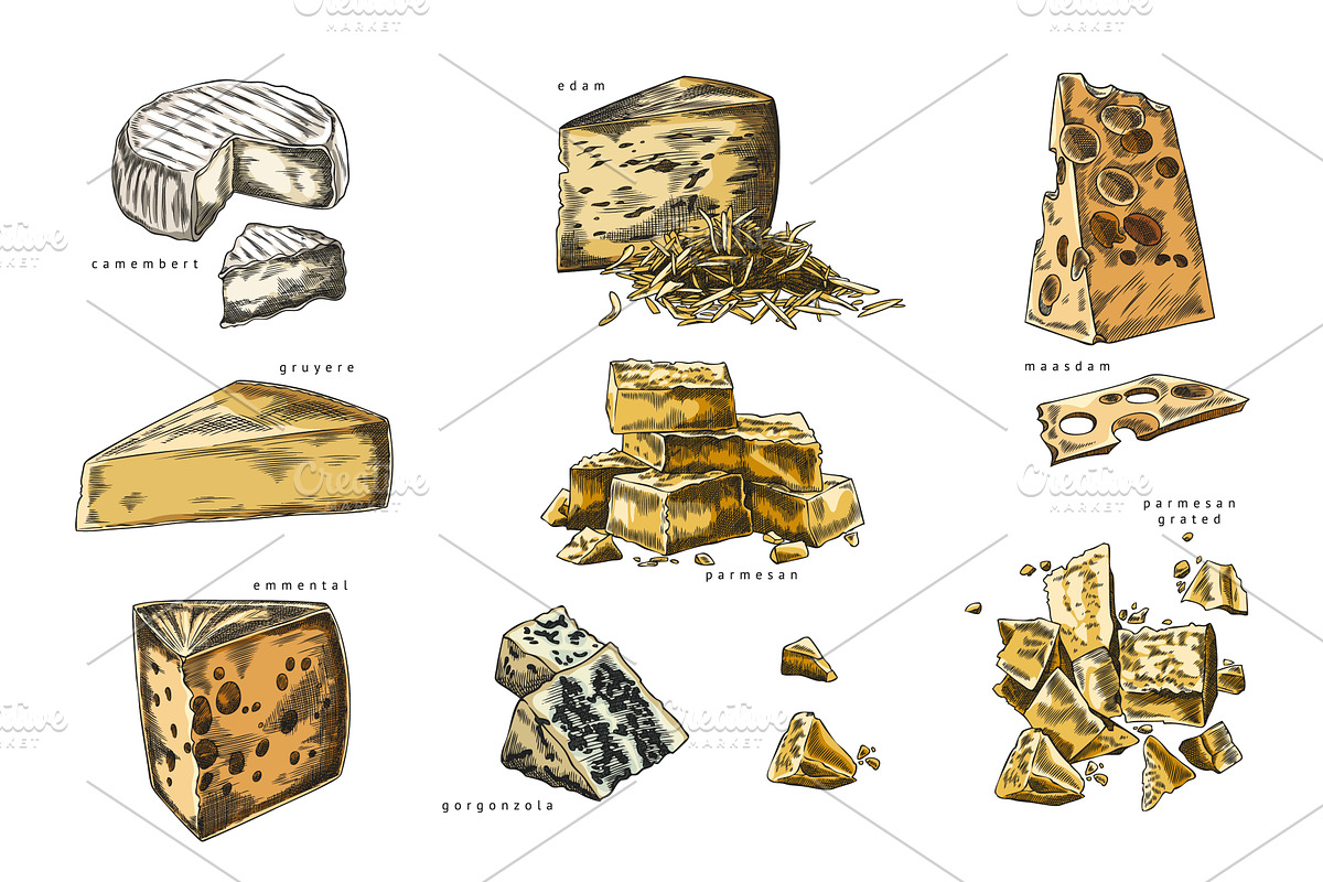 Vector watercolor set of cheese, a Food Illustration by Sabelskaya