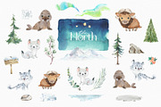 The North. Watercolor Collection, an Animal Illustration by StarJam (Thumbnail 4 of 8)