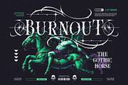Rose Torture Typeface, a Serif Font by alit design (Thumbnail 4 of 20)