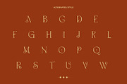 Vamos Unique Serif Typeface, a Serif Font by Alfinart (Thumbnail 6 of 10)