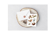 Acorns Watercolor Clipart. Forest., a Decorative Illustration by NKTKNS (Thumbnail 4 of 4)