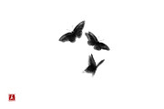Sumi-e ink painting. Minimalism., an Illustration by Elina_Li (Thumbnail 18 of 38)