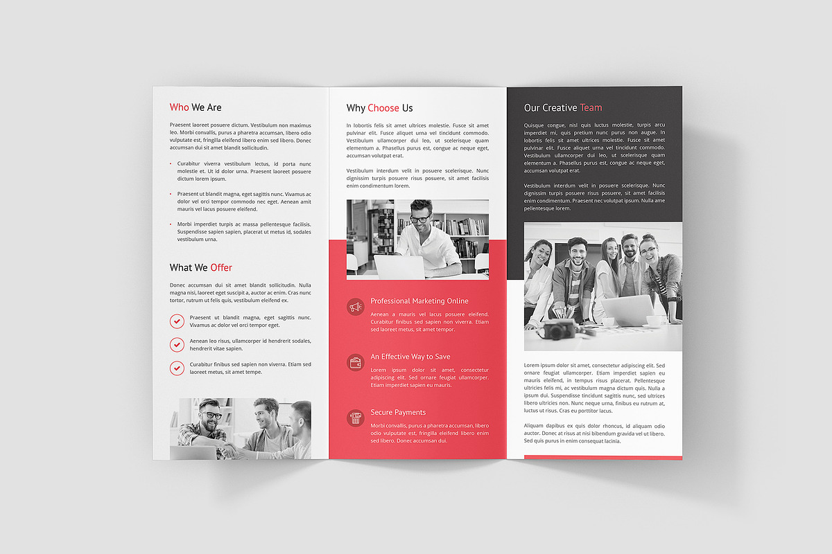 Business Marketing Brochure Tri-Fold, a Brochure Template by artbart (Photo 6 of 8)