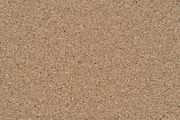 Flat plywood board texture, a Texture Graphic by Textures Shop (Thumbnail 1 of 2)