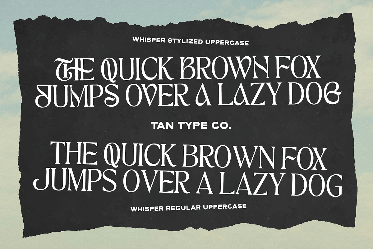 TAN - WHISPER, a Serif Font by TanType (Photo 8 of 10)