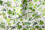 Watercolor Branches of Trees, an Illustration by cat_arch_angel (Thumbnail 5 of 5)