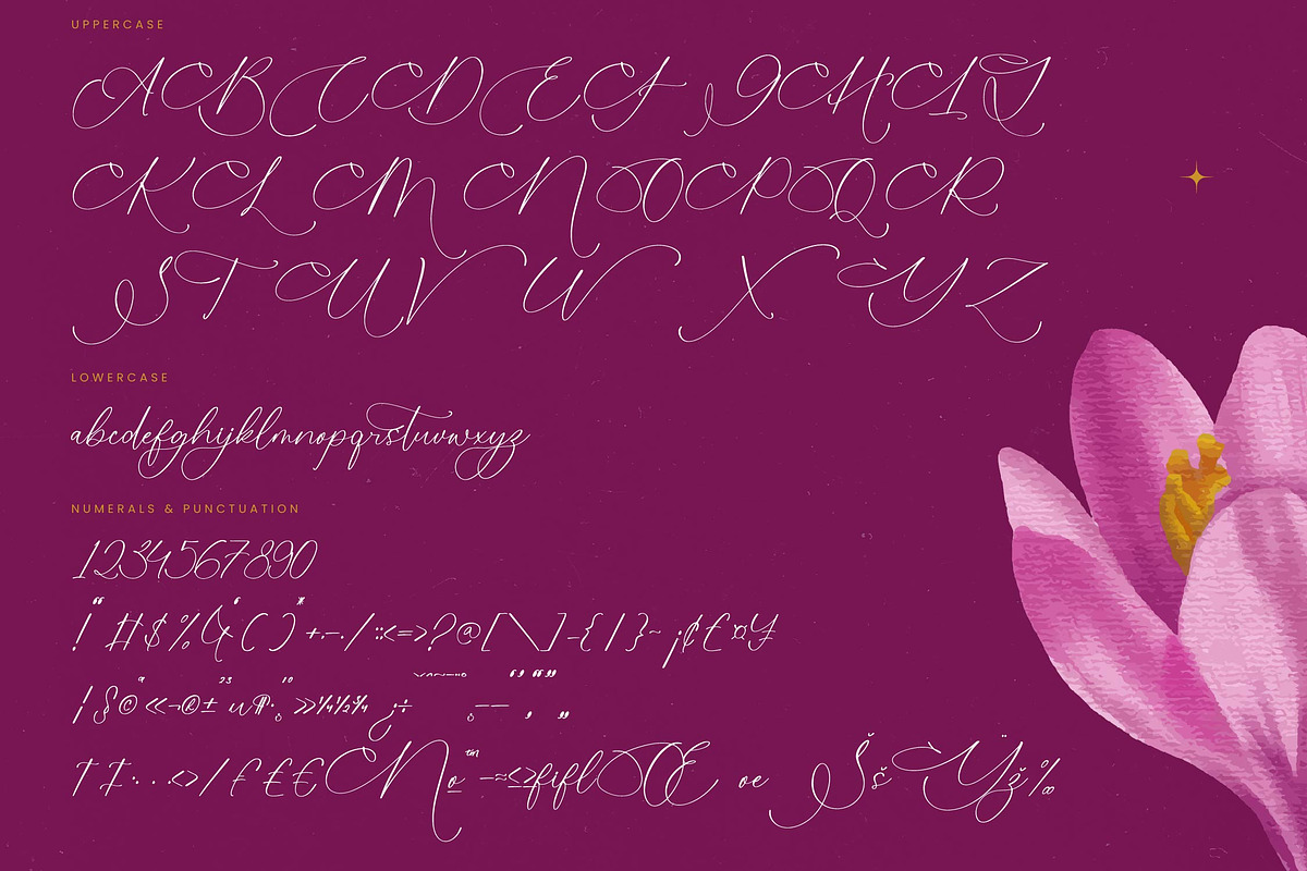 Herlina Aliyah Stylish Calligraphy, a Script Font by stylishtype.co (Photo 18 of 20)
