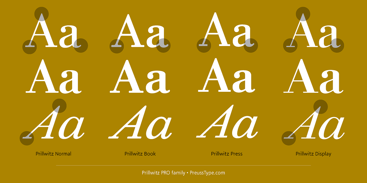 Prillwitz PRO, a Serif Font by preussTYPE (Photo 3 of 9)