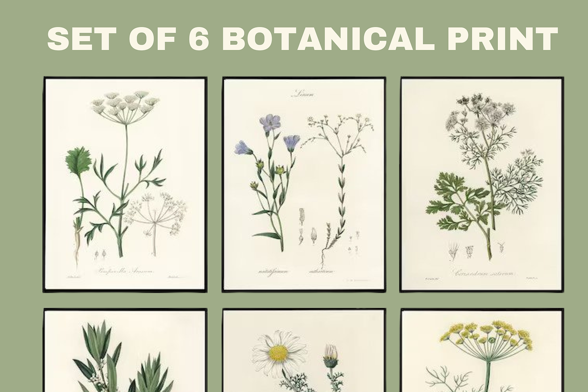 Set of 6 Botanical Print, Set of 6, an Object Graphic by HaithamSimas