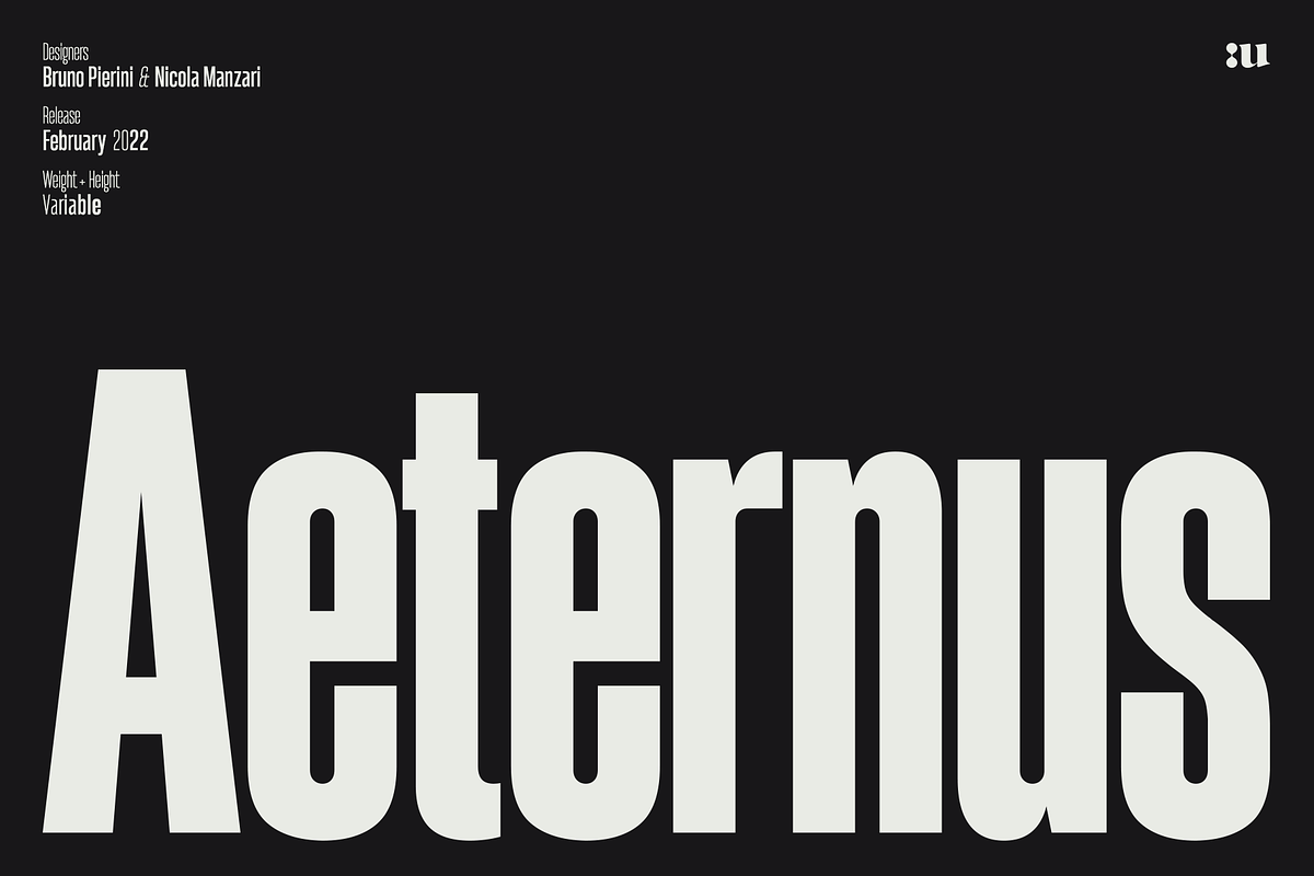 Aeternus Variable, a Sans Serif Font by Unio Designs (Photo 1 of 12)