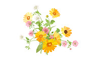 Vector object brushes. Calendula, a Brush Add-On by Peolla (Thumbnail 16 of 16)