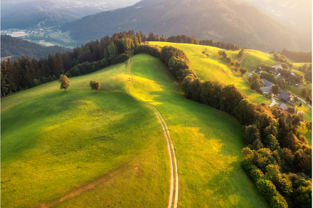 Aerial view of country road in green, a Nature Photo by den-belitsky