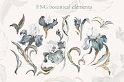 IRISES floral seamless patterns, a Pattern Graphic by Lisima (Thumbnail 11 of 14)