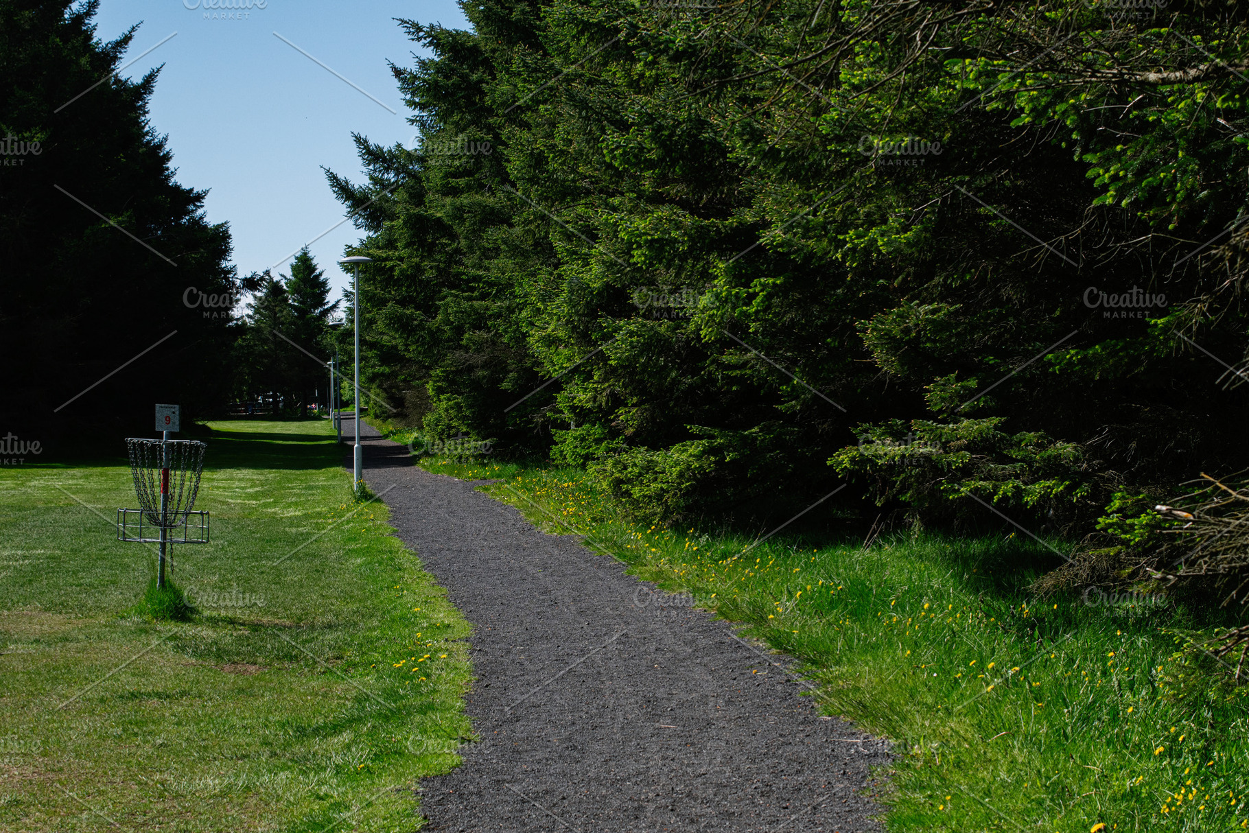 Disc golf course in a park with green trees in Akranes, Iceland, a Photo by AS photostudio