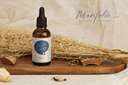 Manfollo Modern Script, a Script Font by alit design (Thumbnail 3 of 15)