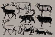 Linocut Zoo, Animal illustrations, an Animal Illustration by Garden in frame (Thumbnail 6 of 7)