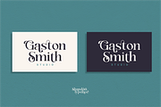 Shandora a Modern Serif Font, a Serif Font by Vilogsign (Thumbnail 10 of 15)