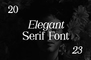 Shailey Morgance Elegant Serif Font, a Serif Font by UICreative (Thumbnail 10 of 13)