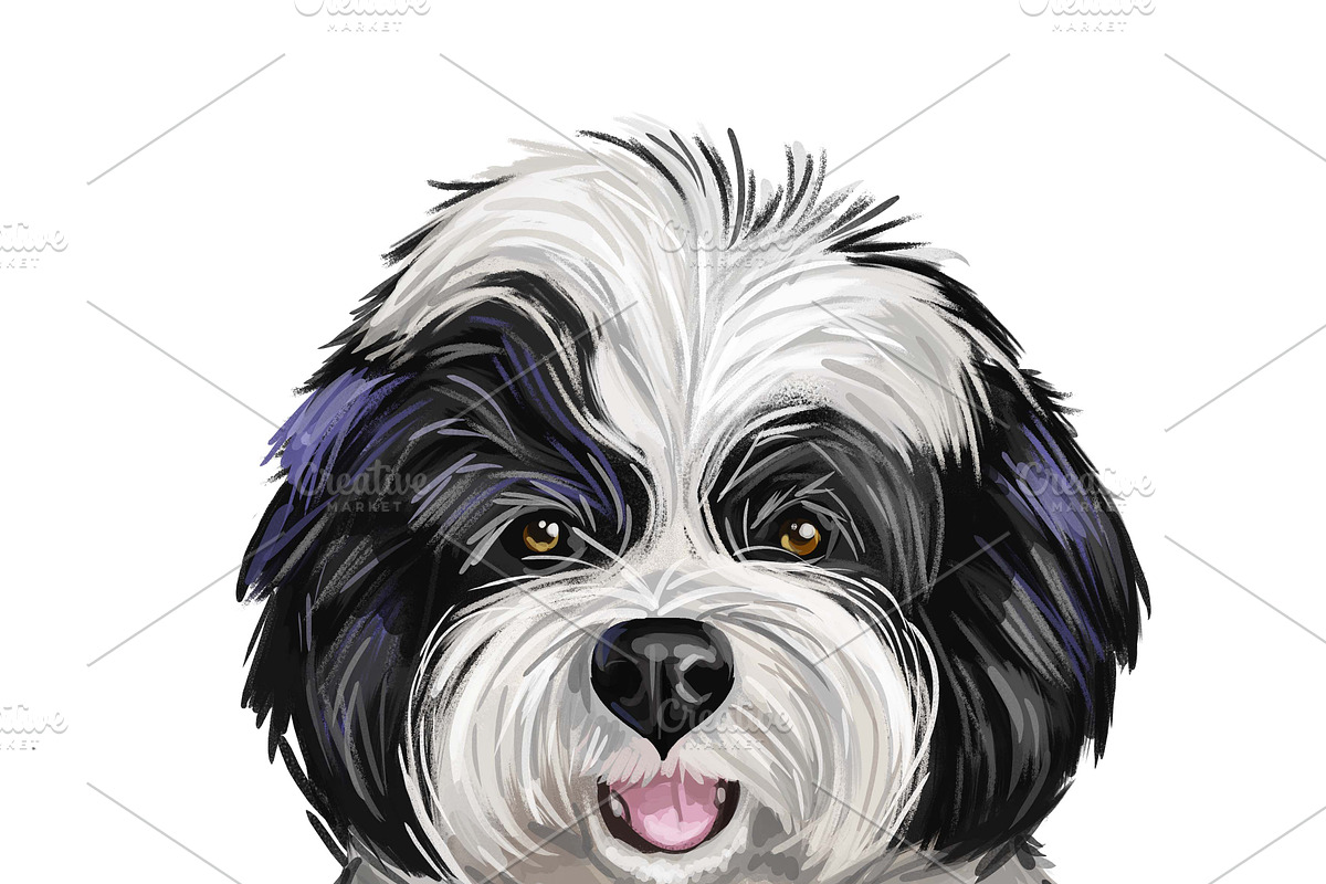 Dogs Cross Breeds 56 Animals Bundle, an Animal Illustration by Dneprstock (Photo 48 of 55)