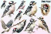 Downy Woodpecker Clipart,, a Graphic by CitraGraphics (Thumbnail 2 of 4)