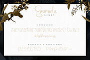 Emanuela Typeface and Designs -33%, a Script Font by VP Fonts (Thumbnail 4 of 13)