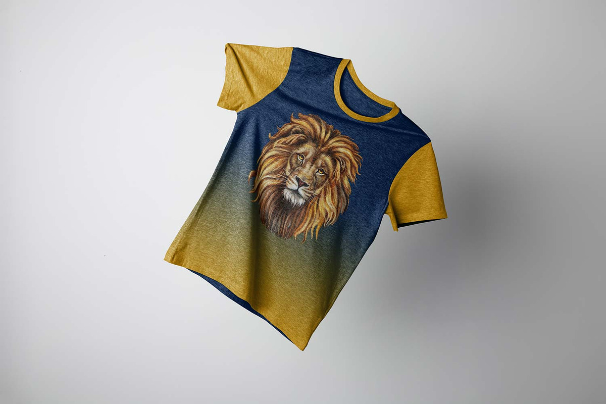 T-Shirt Mockup Template, a Shirt Mockup by Design'sTRIBE (Photo 4 of 5)