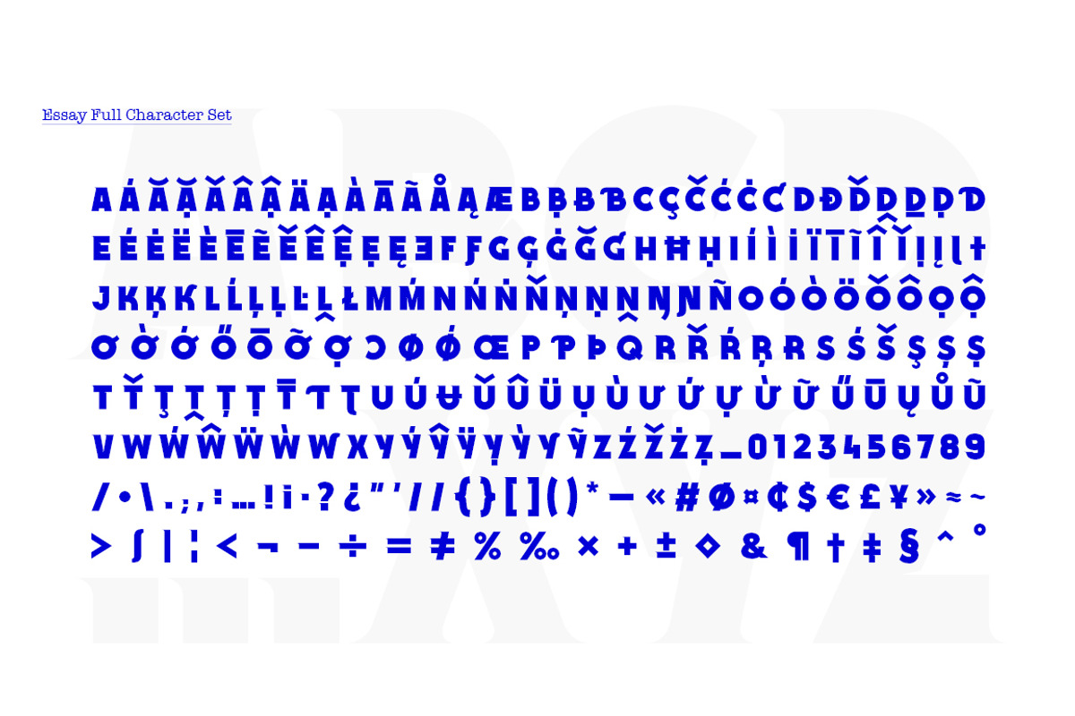 Essay Font Family preview 3