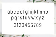 Slovenia, a Sans Serif Font by edcreative (Thumbnail 5 of 7)