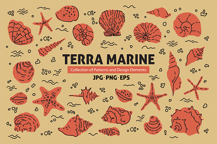 Terra Marine - seashell collection