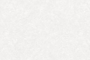 Whitetone Seamless Paper Backgrounds, a Texture Graphic by Section Type (Thumbnail 10 of 13)