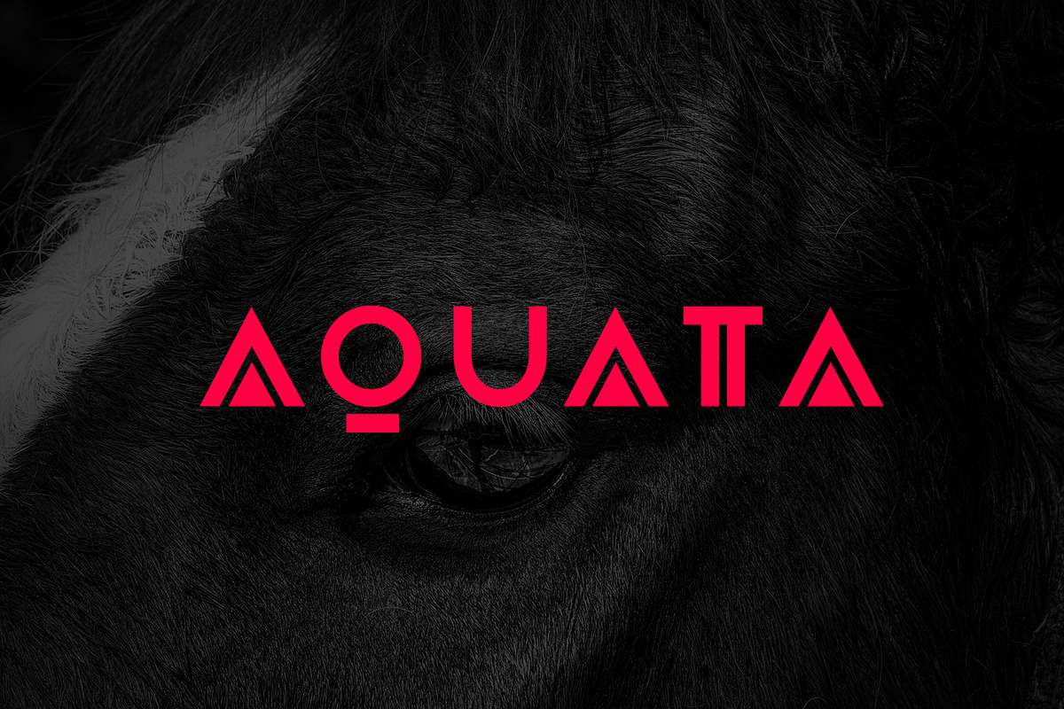 Aquata Typeface, a Sans Serif Font by Design Stag (Photo 1 of 9)