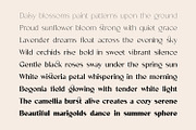 Velorina Font Family, a Sans Serif Font by Asenbayu (Thumbnail 7 of 14)