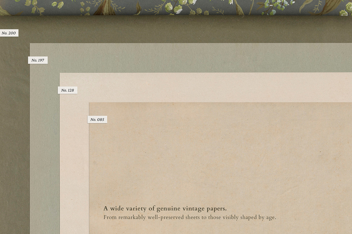 The Antiquarian Paper Archive, a Texture Graphic by Dina Mae (Photo 12 of 19)