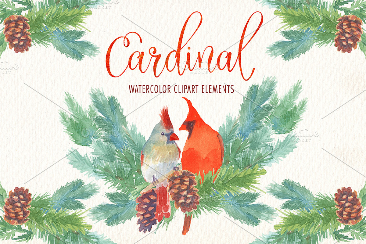 Cardinal bird watercolor clipart set, an Illustration by Art & Things (Photo 4 of 6)