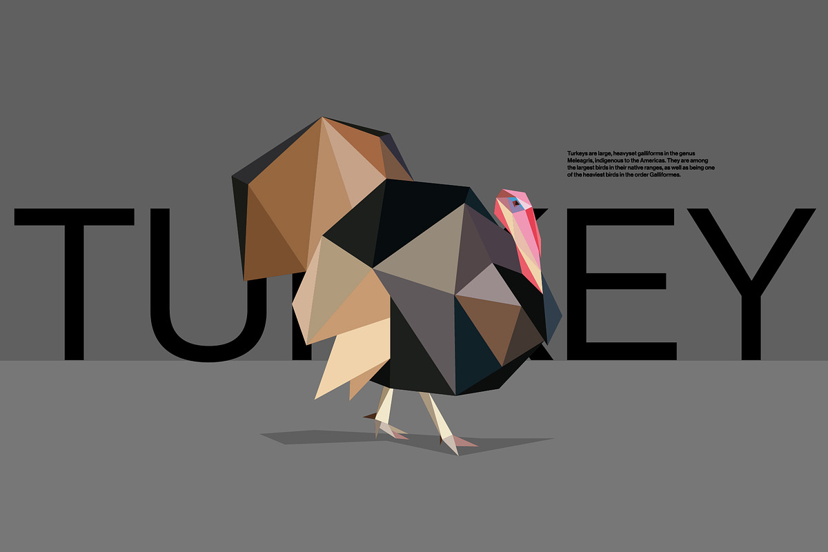 Farm Animals Pack in Low Poly Style, an Illustration by Volkan Aydemir (Photo 11 of 12)